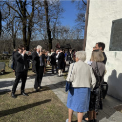 Landscape image spanning 2 columns