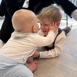 Single cell image (17)