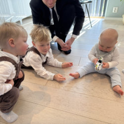 Single cell image (21)