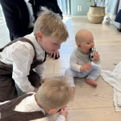 Single cell image (23)